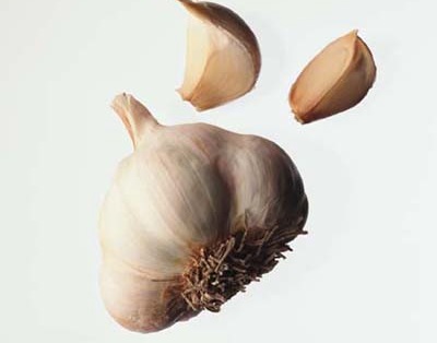 Garlic Extract - Herbal Extracts