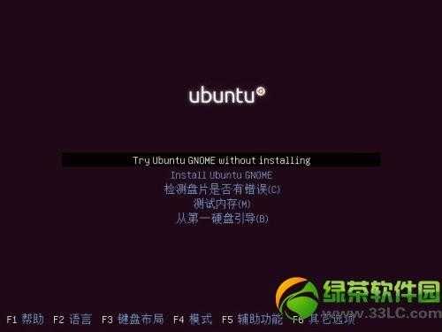 ubuntu13.04友帮拓系统图文安装教程